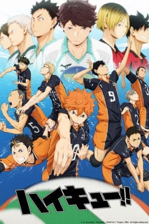 Haikyuu!! anime poster — watch together with friends on Crunchyroll